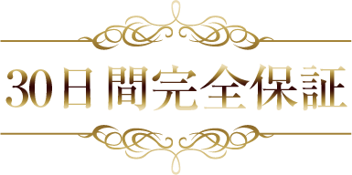 テストマーケティングが終了する前に、今すぐ手に入れてください。